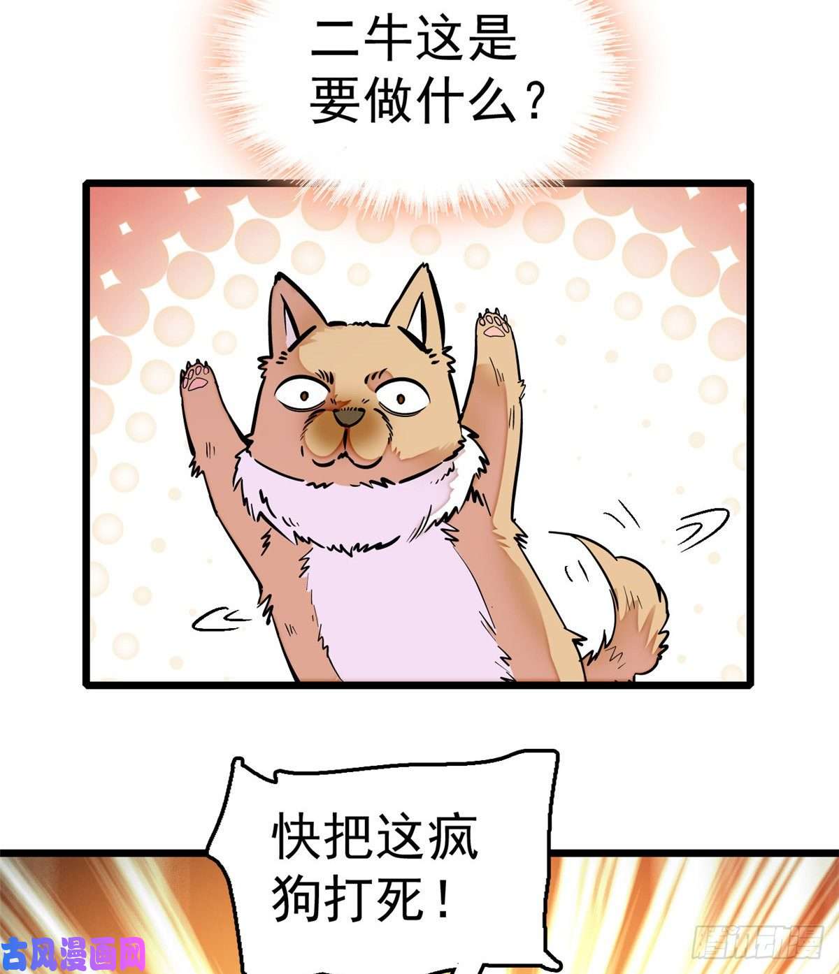 似锦第49话 大喜之日