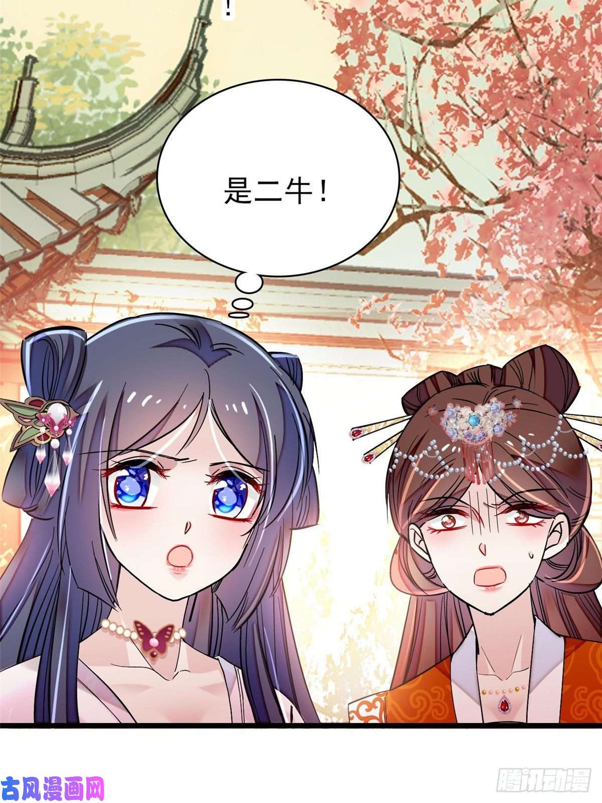 似锦第73话 尸体呢？