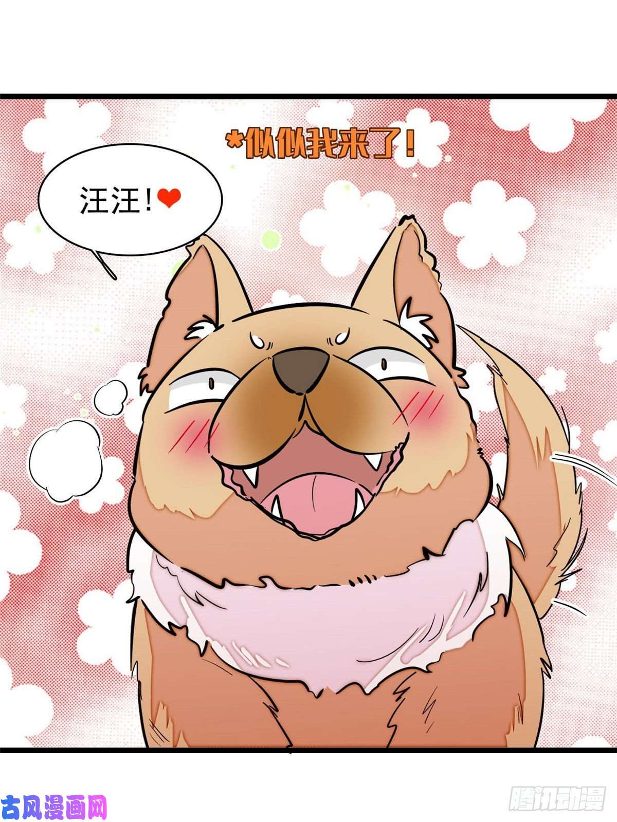 似锦第73话 尸体呢？