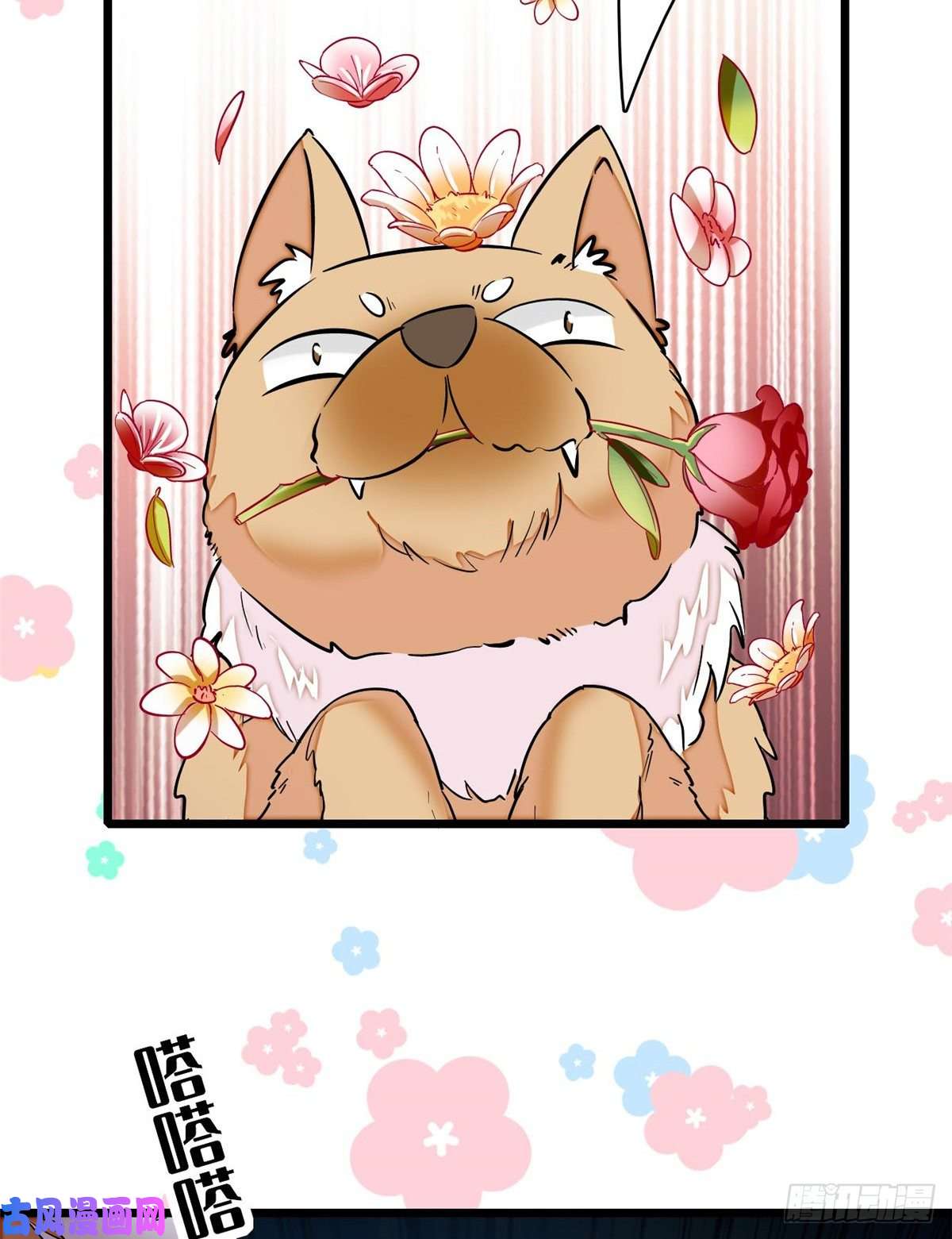 似锦第74话 一只绣花鞋