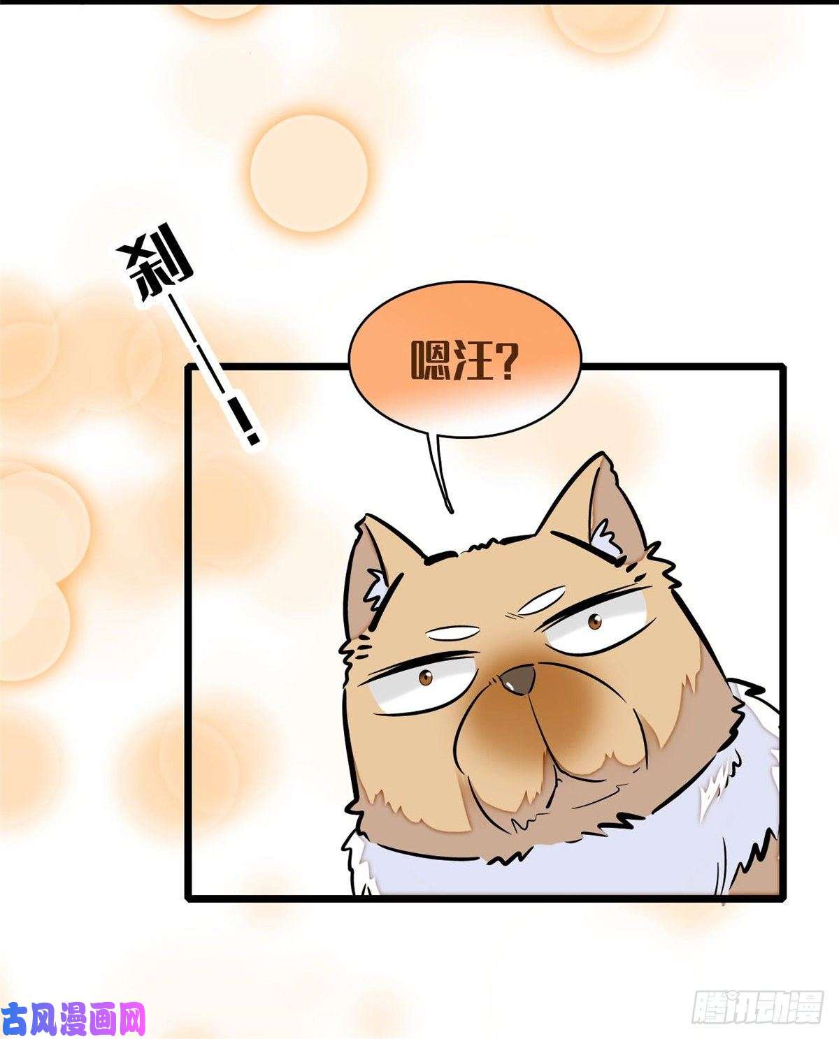 似锦第74话 一只绣花鞋