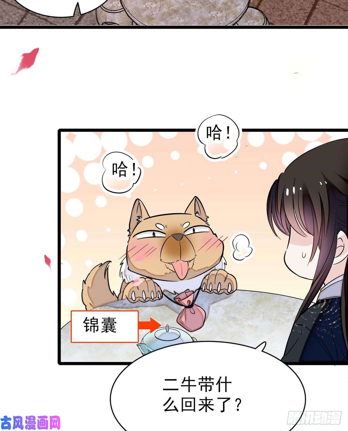 似锦第76话公道来了，可她们不在了