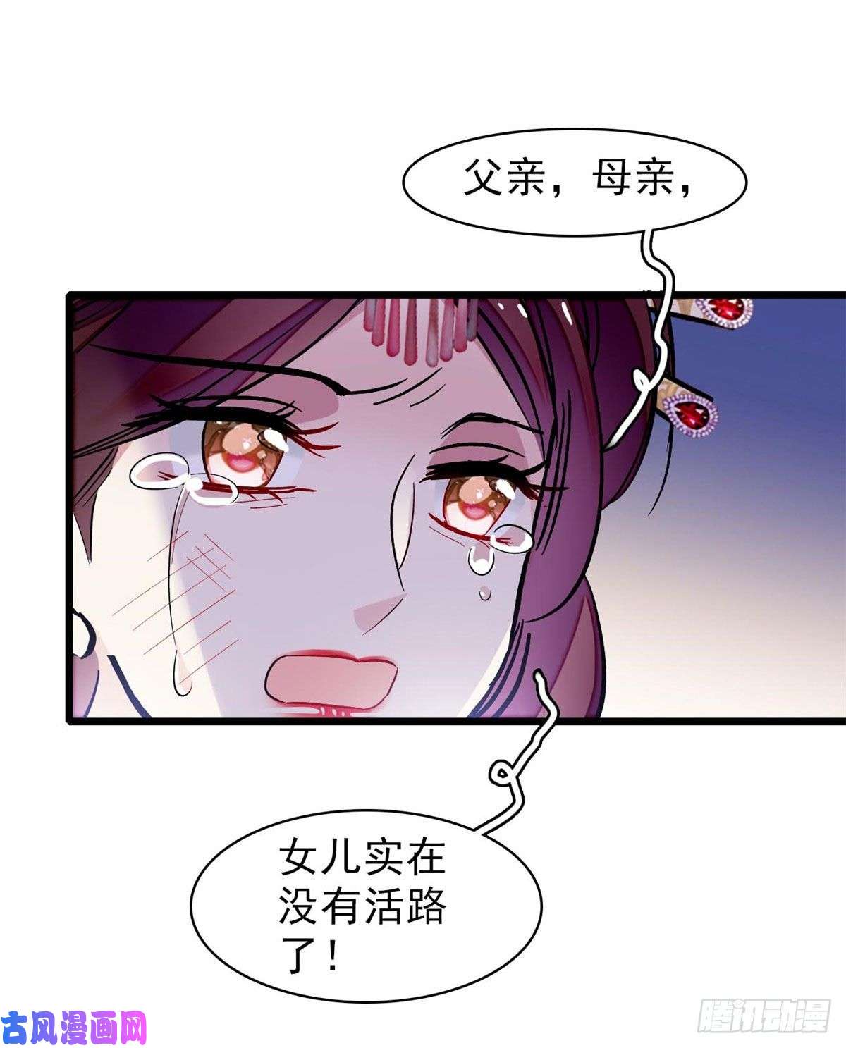 似锦第77话 要不要认识一下我儿子