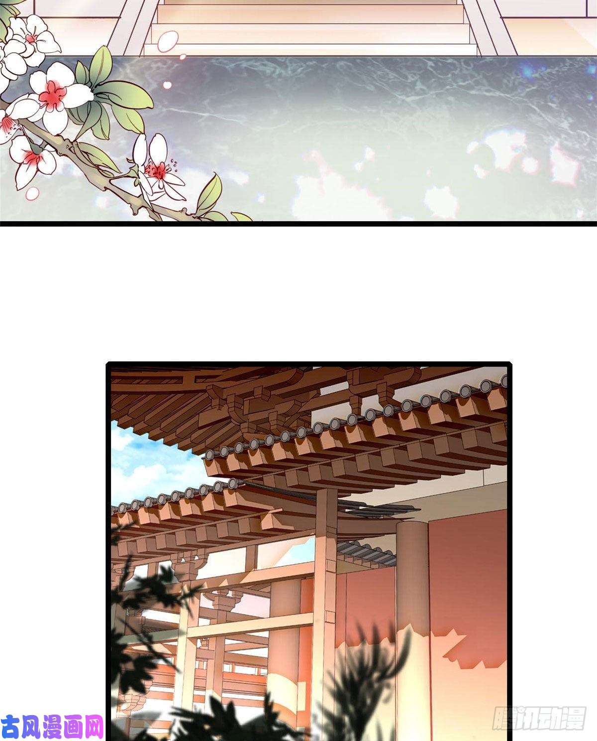 似锦第78话 十八岁生辰和谁过？