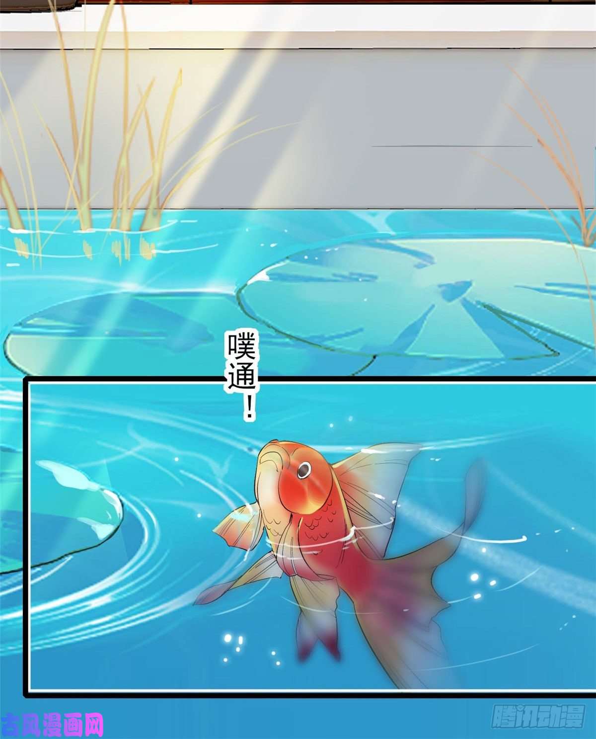 似锦第83话 郁谨遇刺