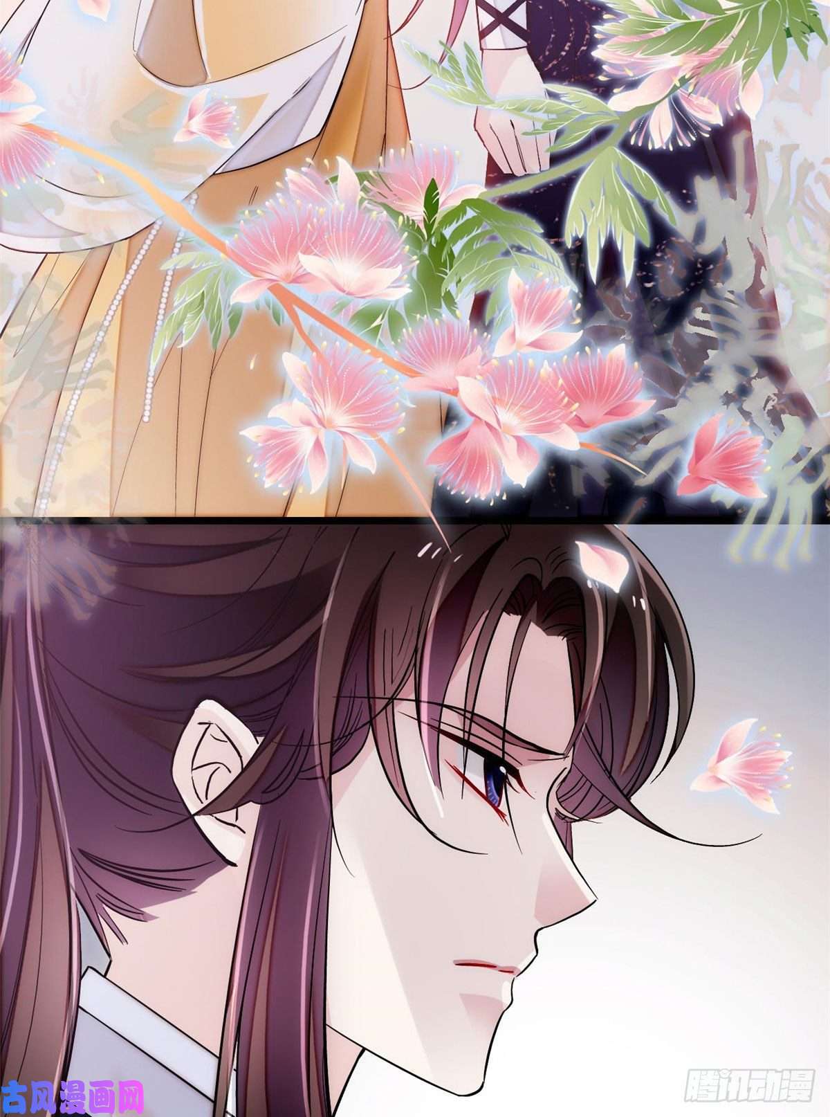 似锦第84话 那我就从你面前消失吧