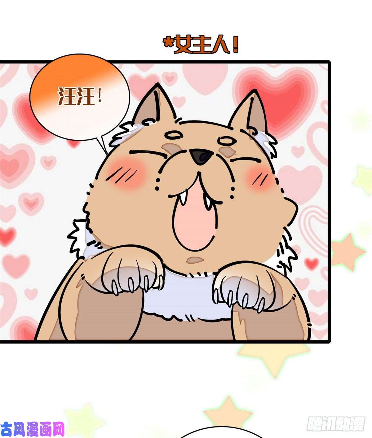 似锦第88话 二表哥的惨剧