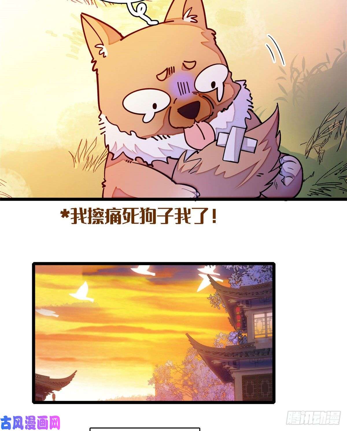 似锦第95话 岳父好感加300