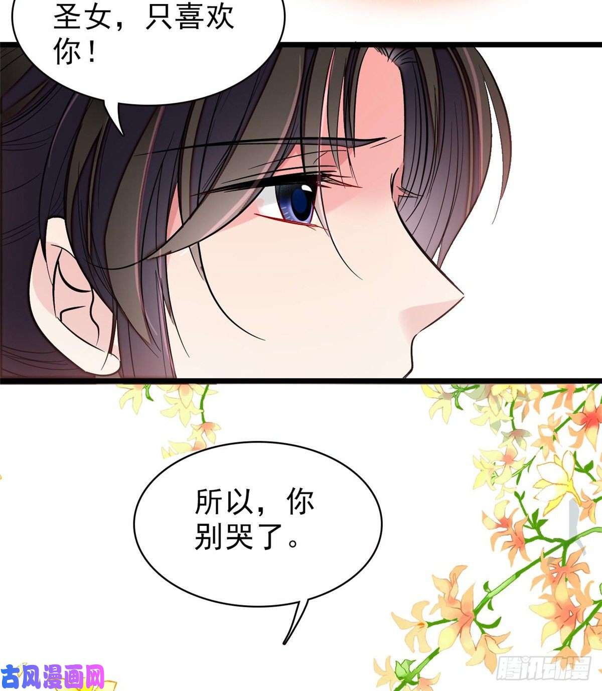 似锦第105话 用我的命，换你的命