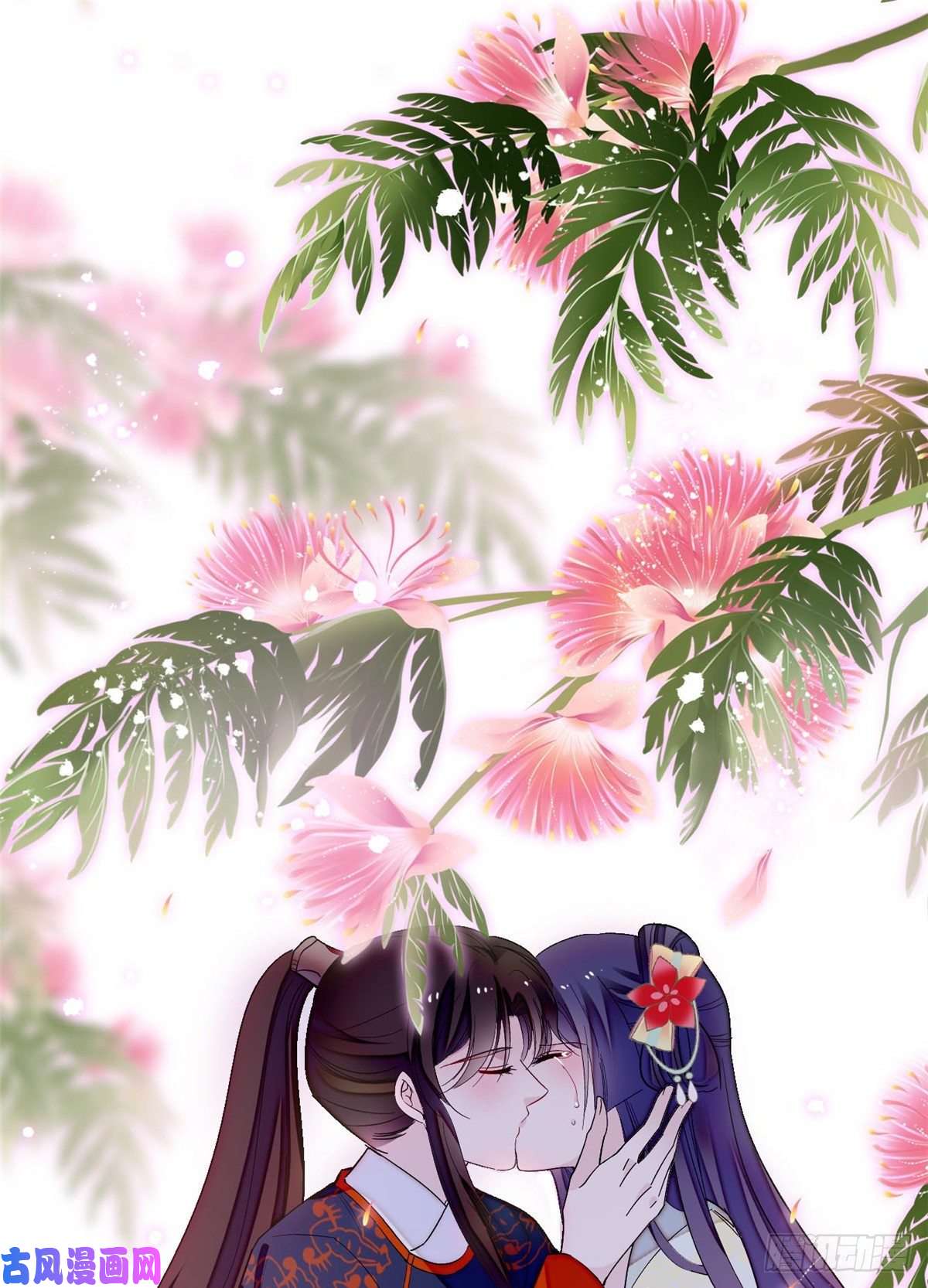 似锦第106话 追阿似有希望了！