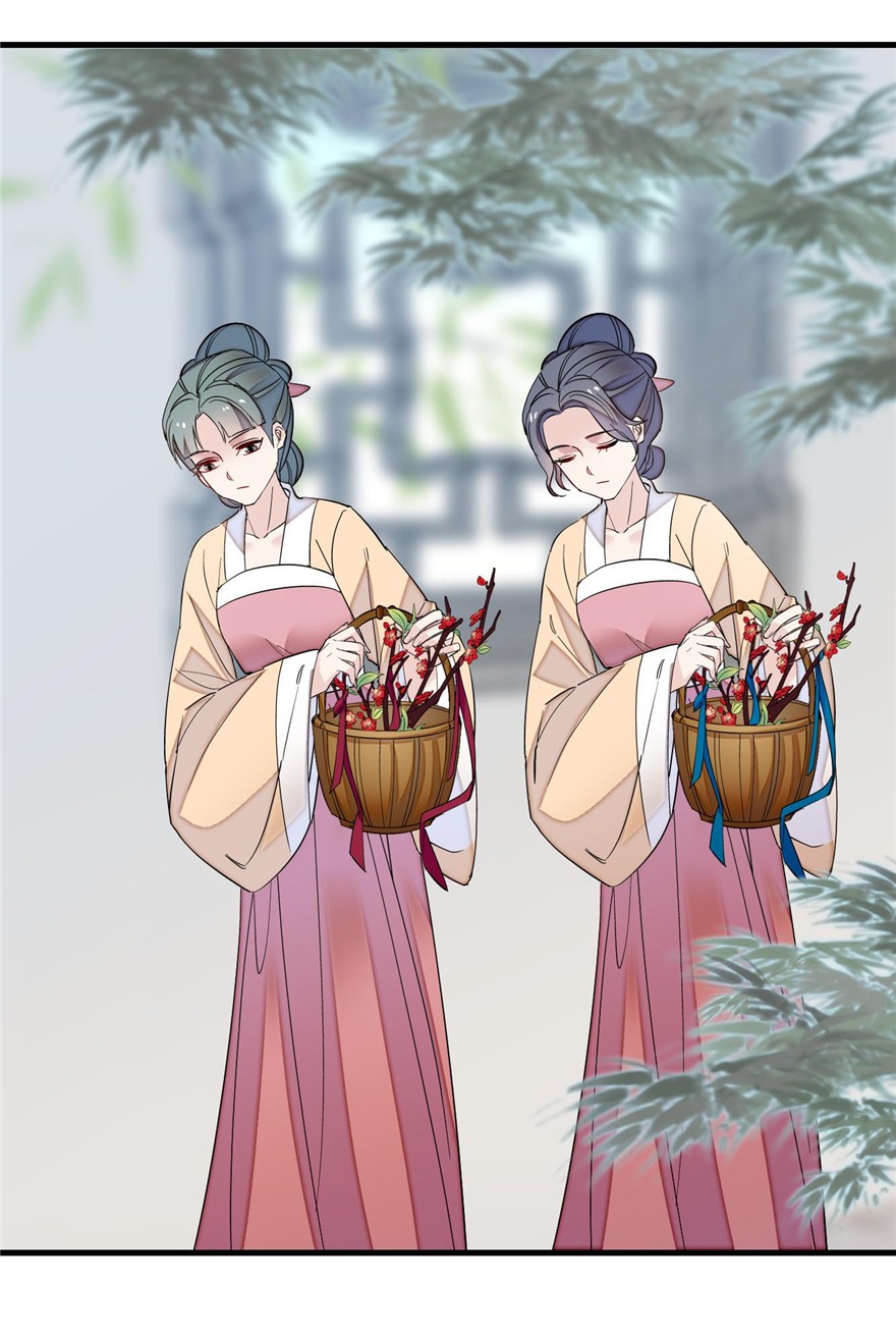 似锦126 我的花只给你一人