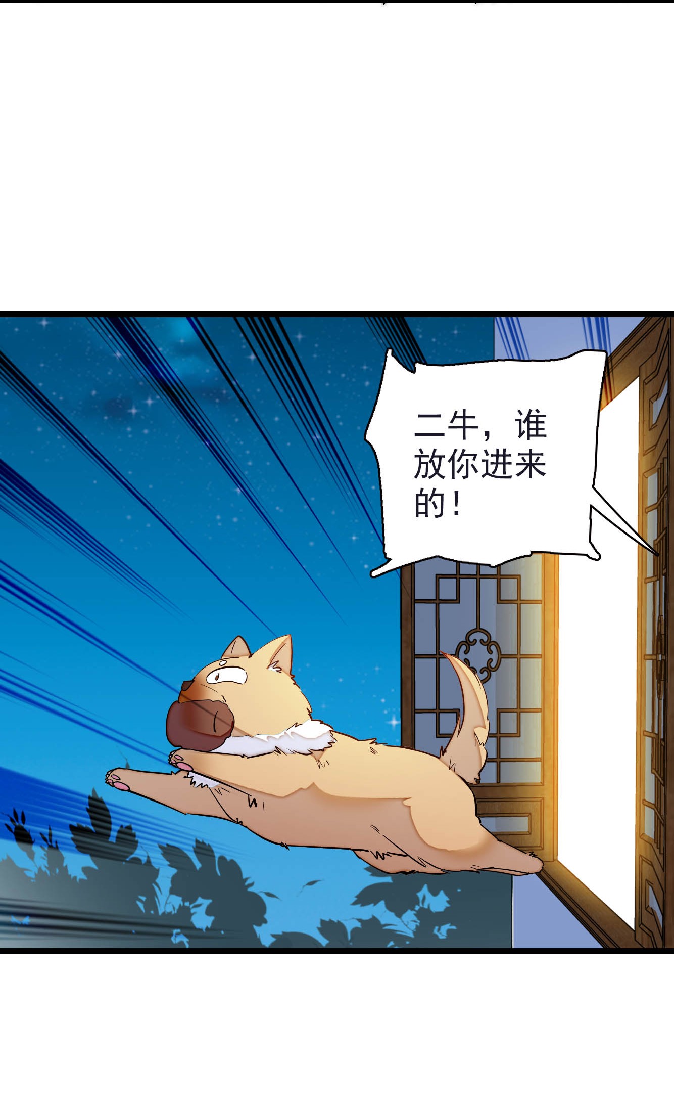 似锦135 大婚