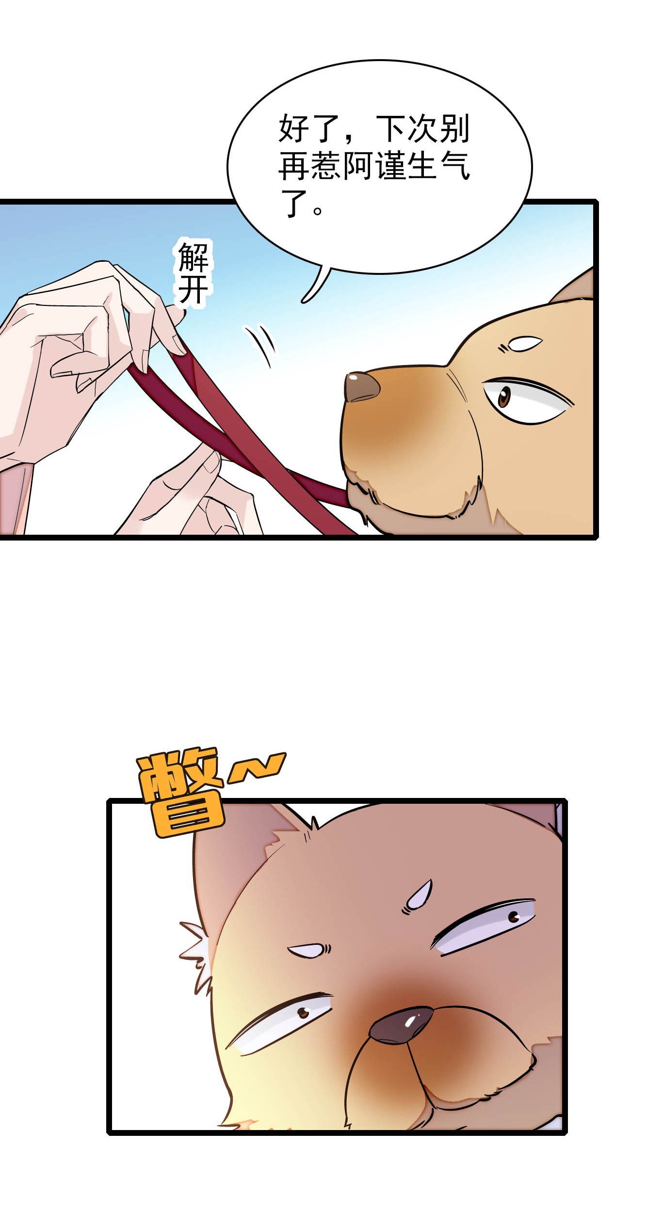 似锦140 乖乖躺着，让我来