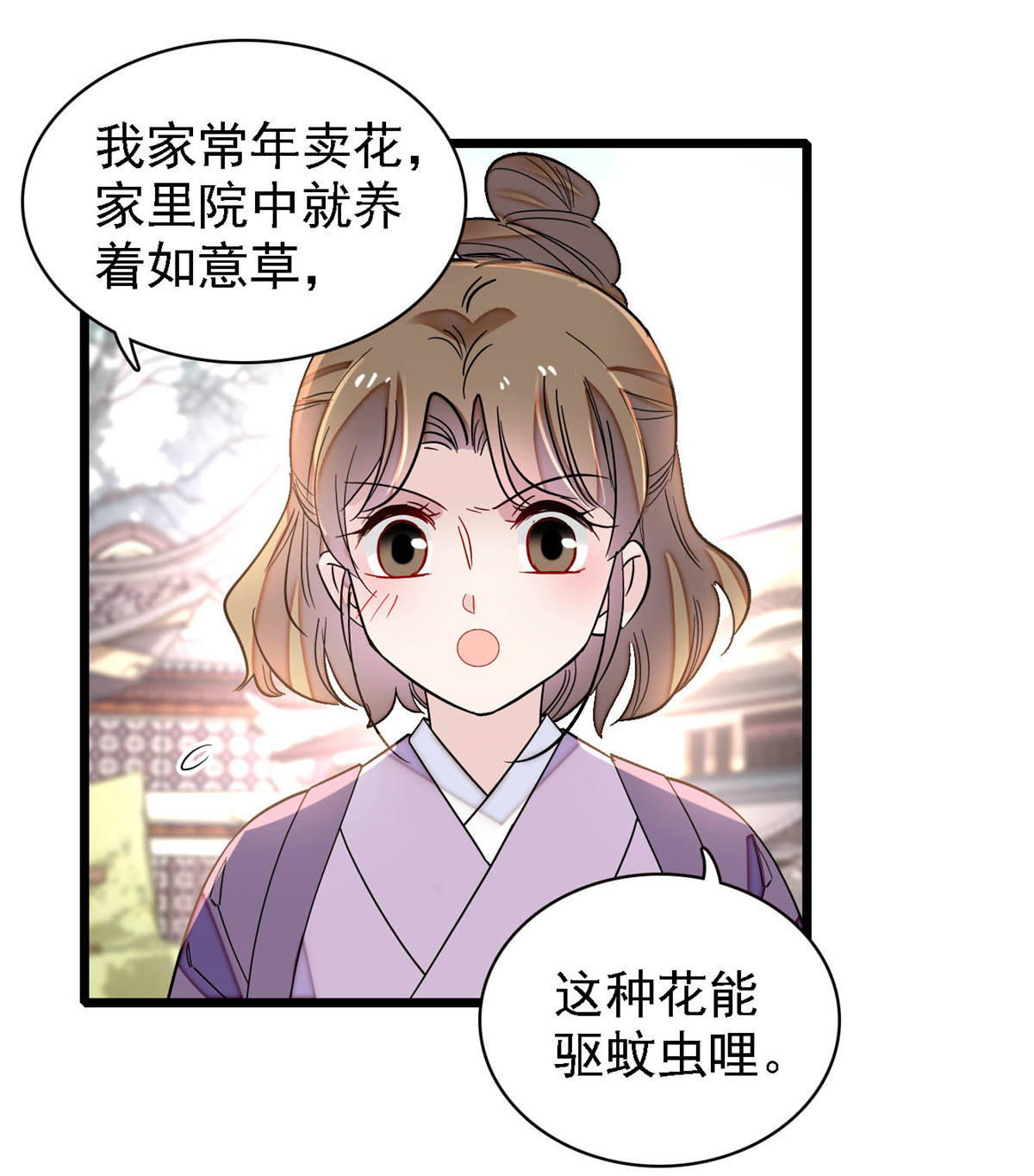 似锦147 来砸场子？