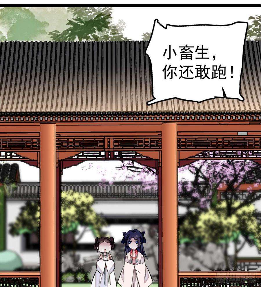 似锦05话 破亲，不退留着过年吗