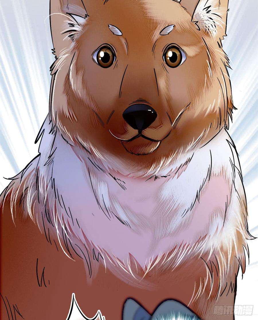 似锦08话 竹筒，男人和狗