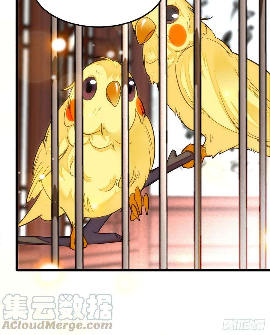 似锦14话 二姐的阴谋