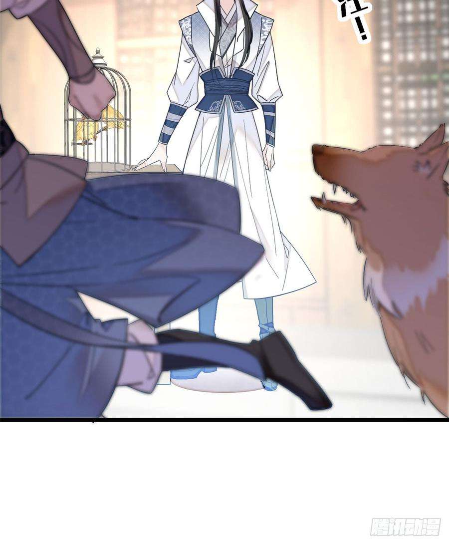 似锦15话 失踪的女孩