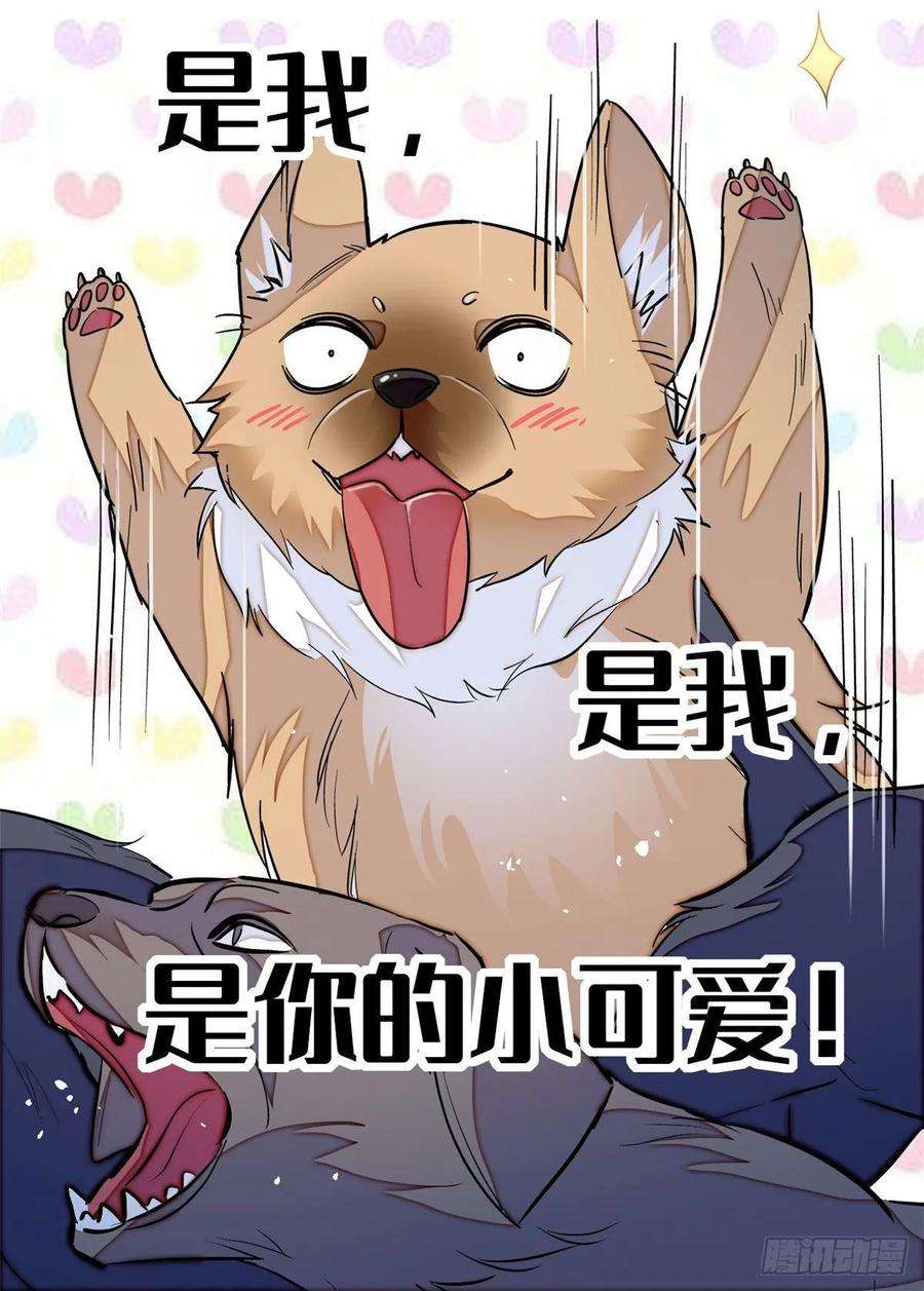 似锦24话 这一世，又见面了