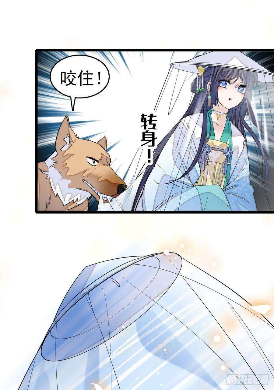 似锦24话 这一世，又见面了