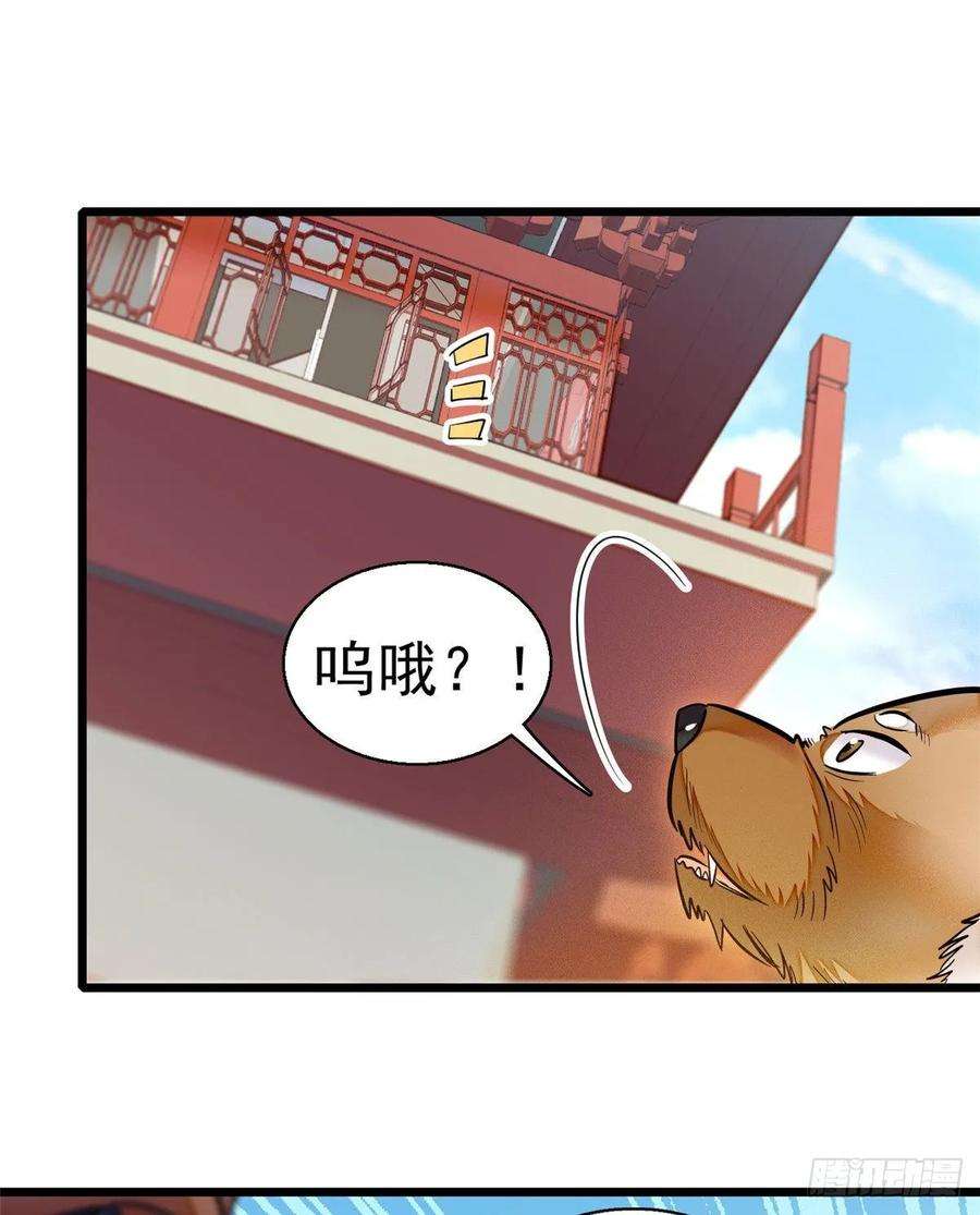 似锦35话 连条狗都打不过