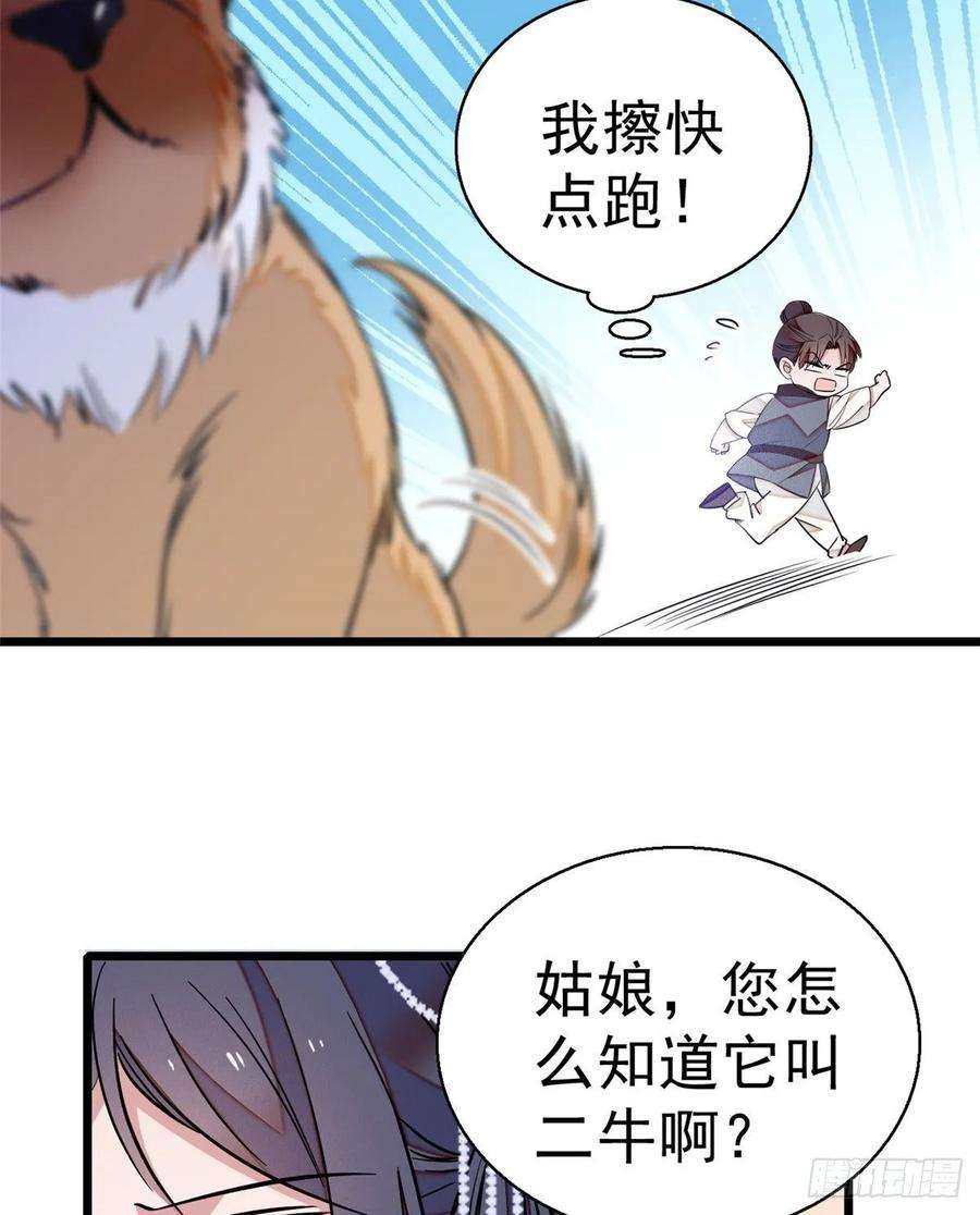 似锦35话 连条狗都打不过