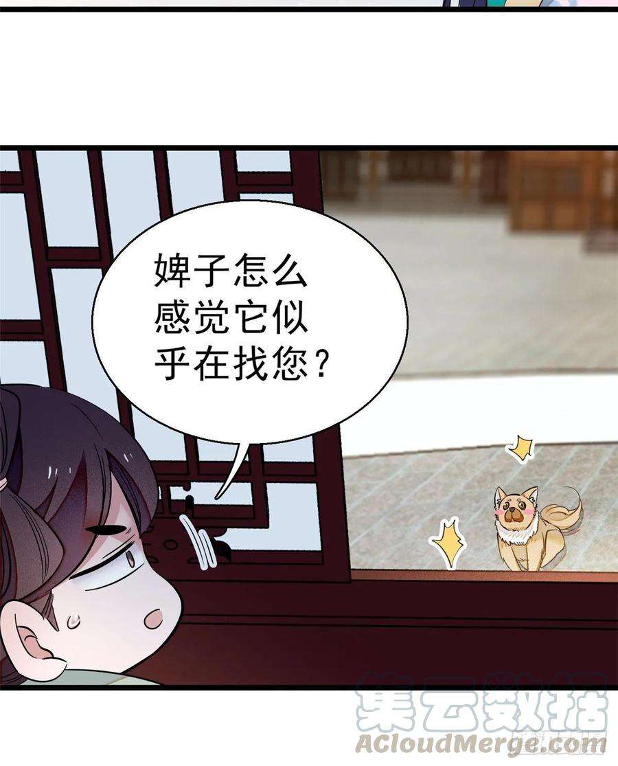 似锦35话 连条狗都打不过