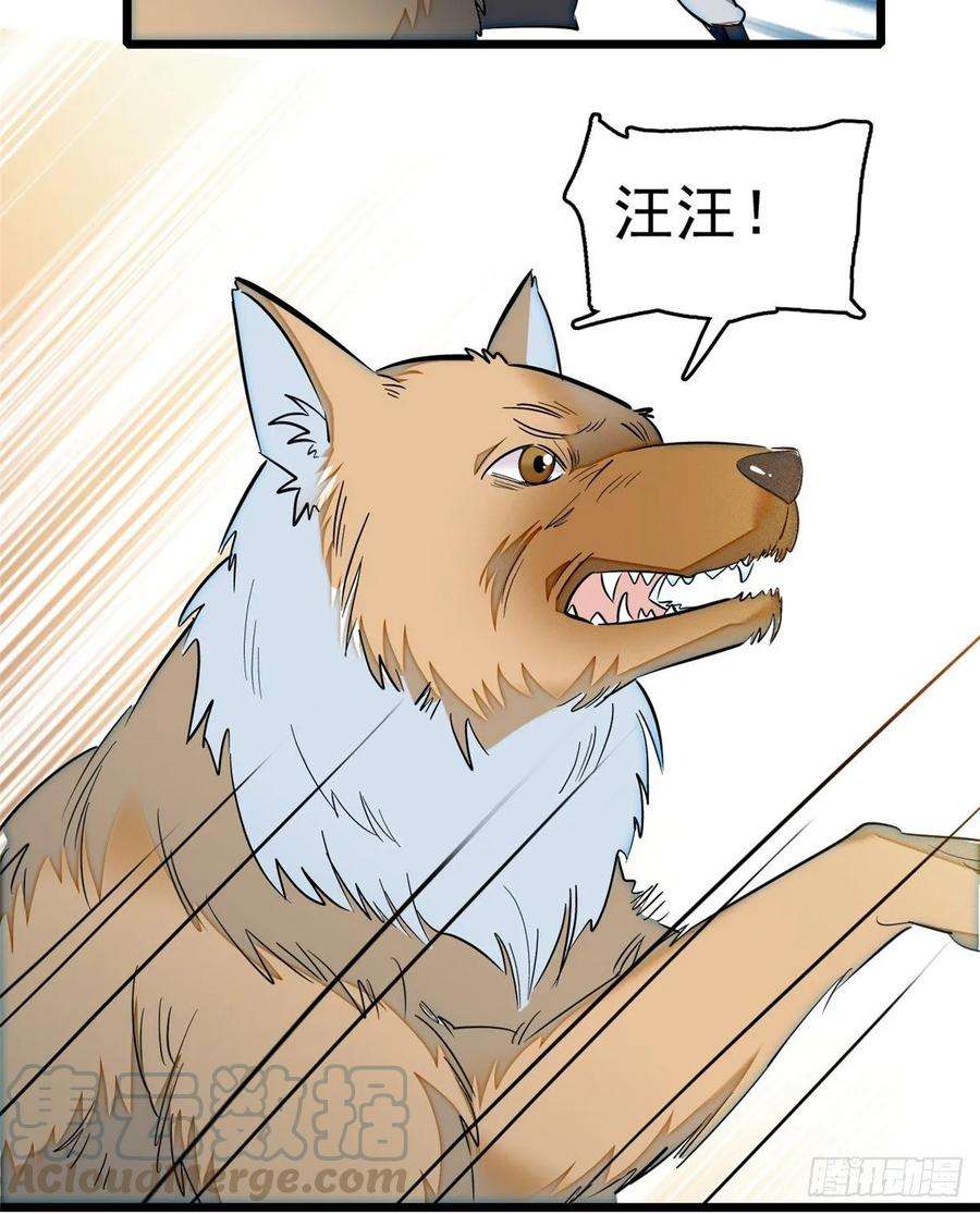 似锦35话 连条狗都打不过