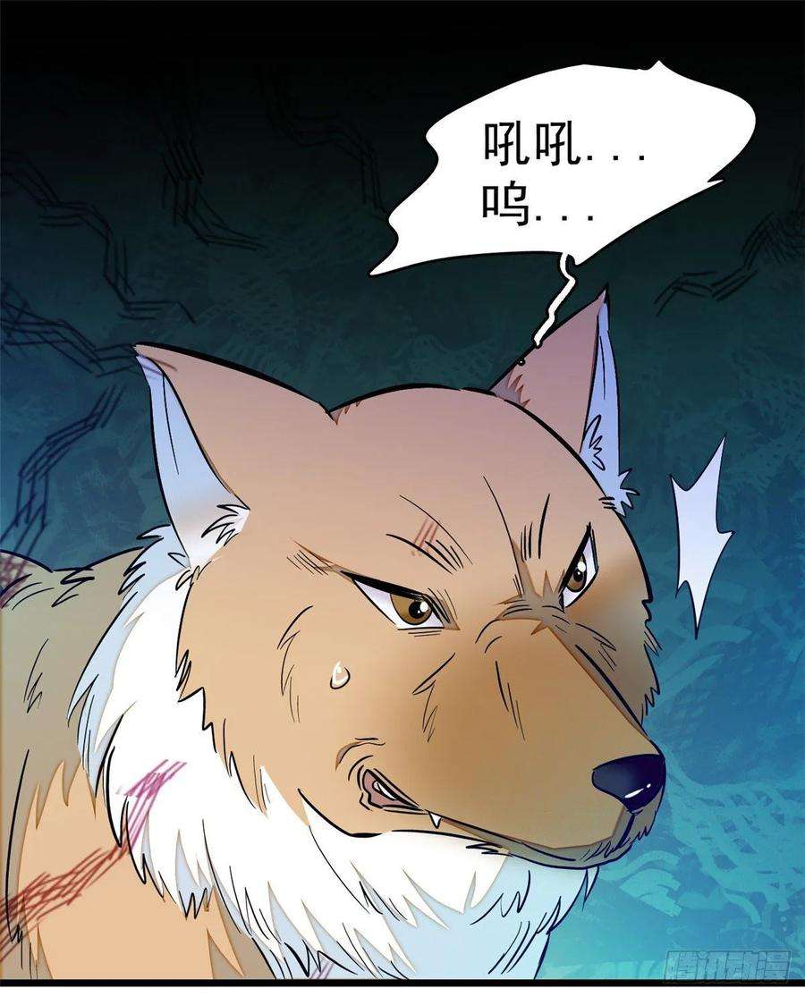 似锦35话 连条狗都打不过