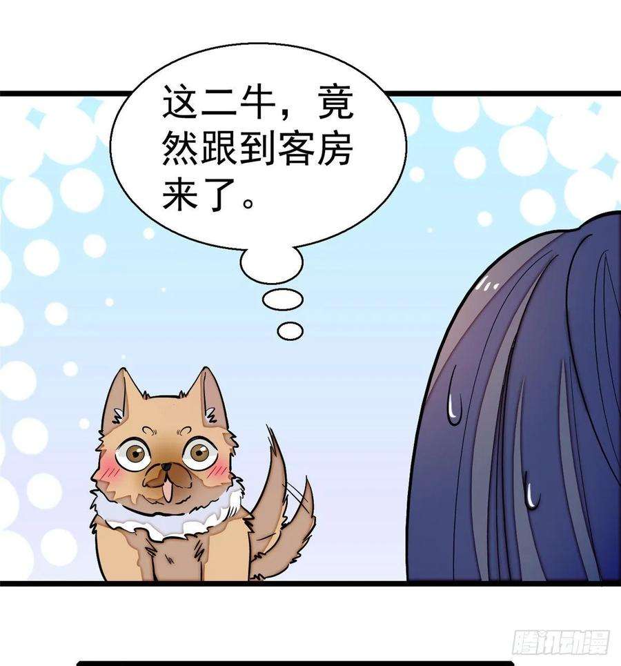 似锦47话 锦囊