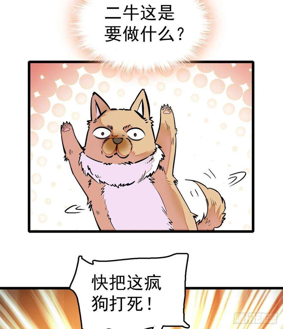 似锦49话 大喜之日