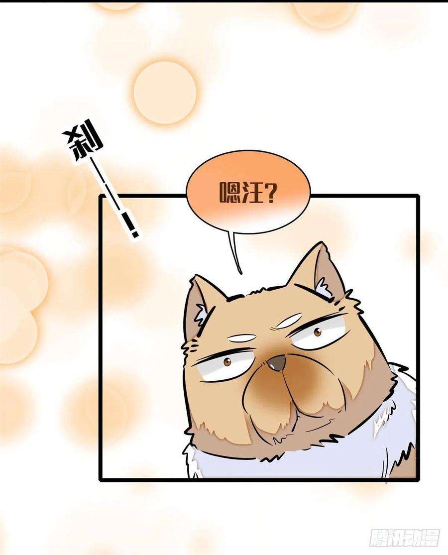 似锦74话 一只绣花鞋