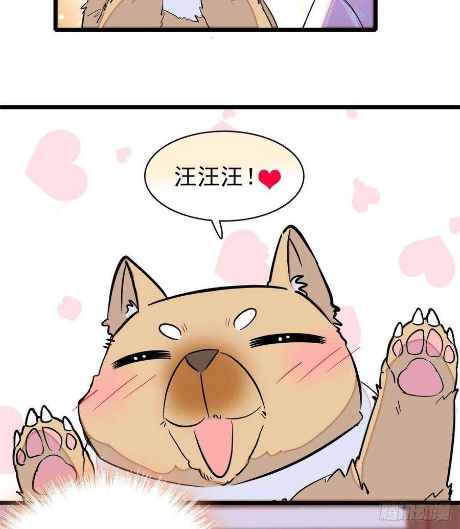 似锦76话公道来了，可她们不在了