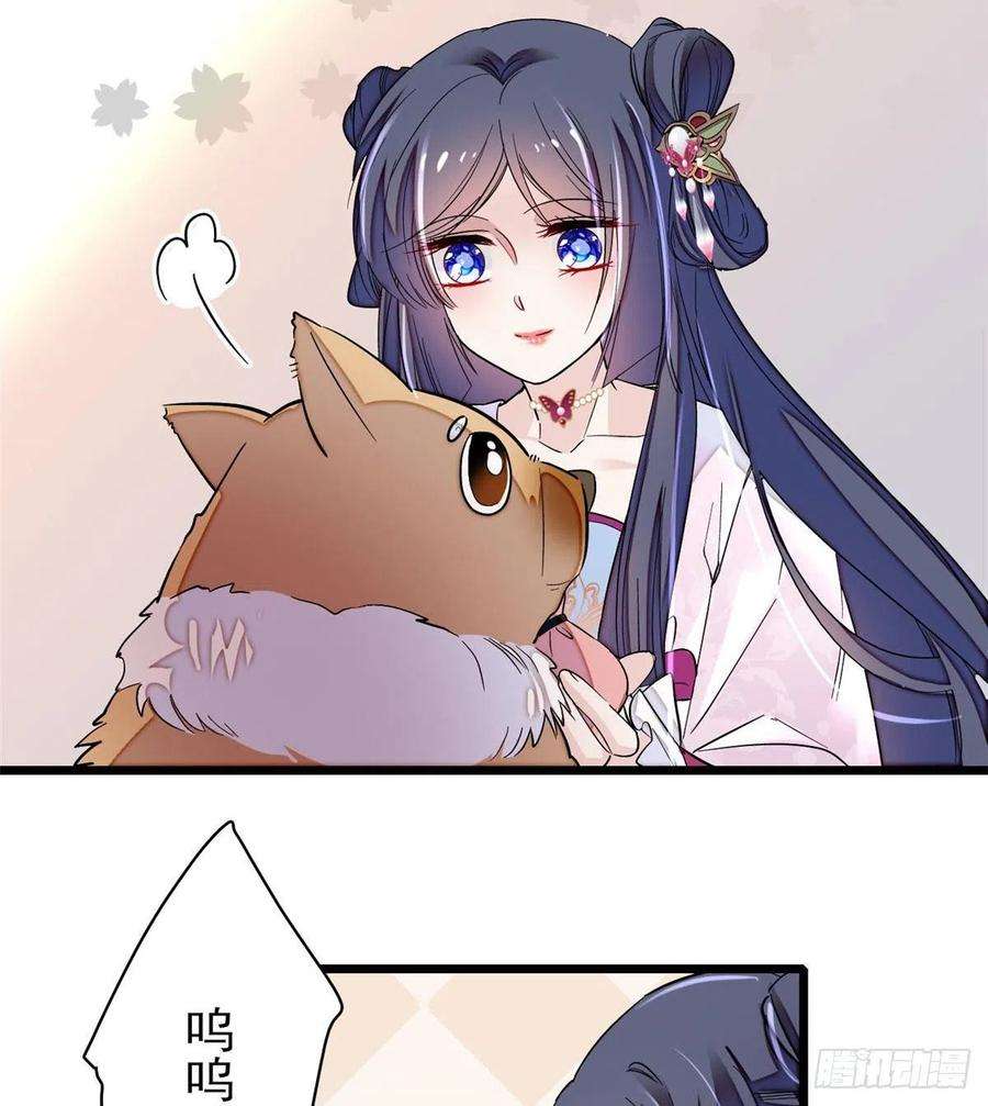 似锦76话公道来了，可她们不在了