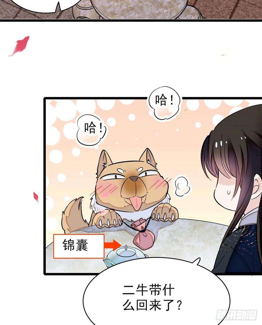 似锦76话公道来了，可她们不在了