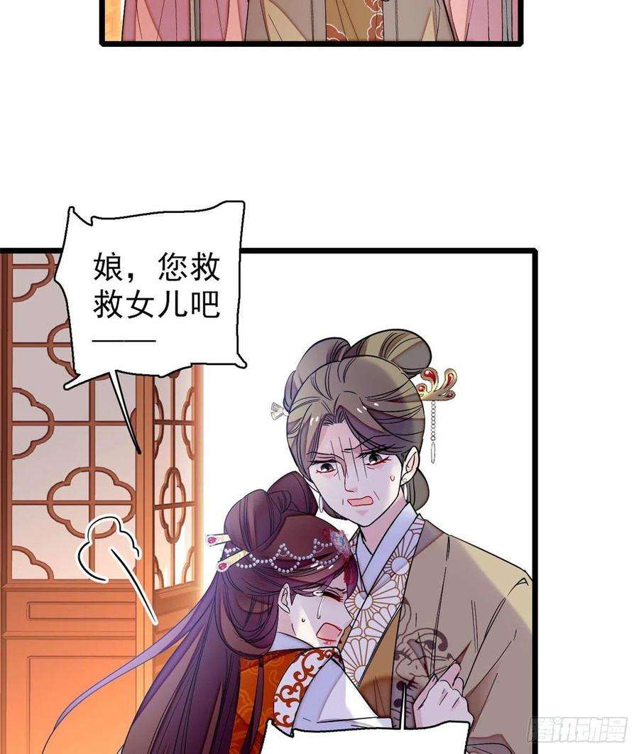 似锦77话 要不要认识一下我儿子