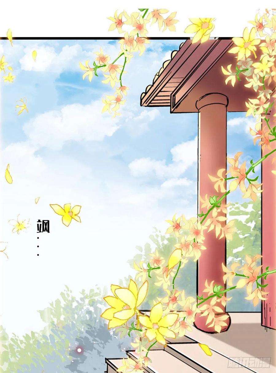 似锦78话 十八岁生辰和谁过？