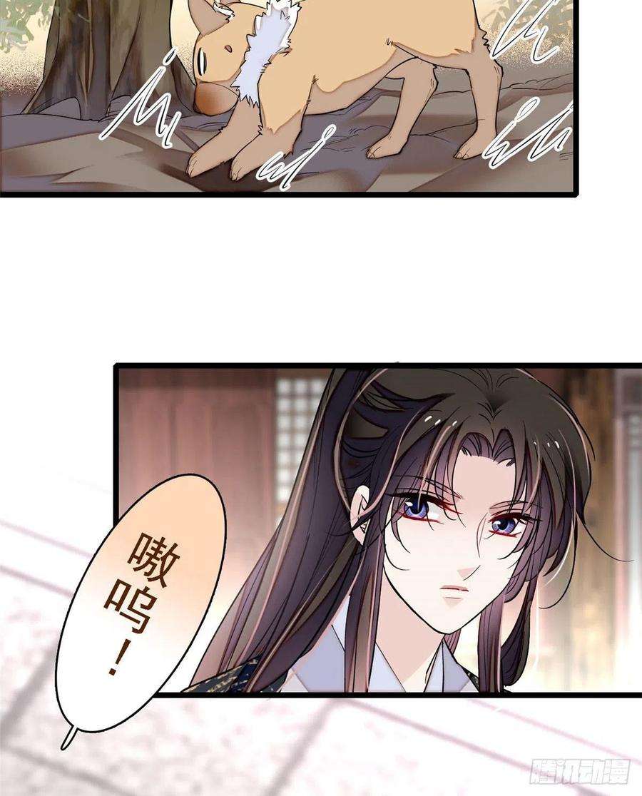 似锦85话 七皇子的状