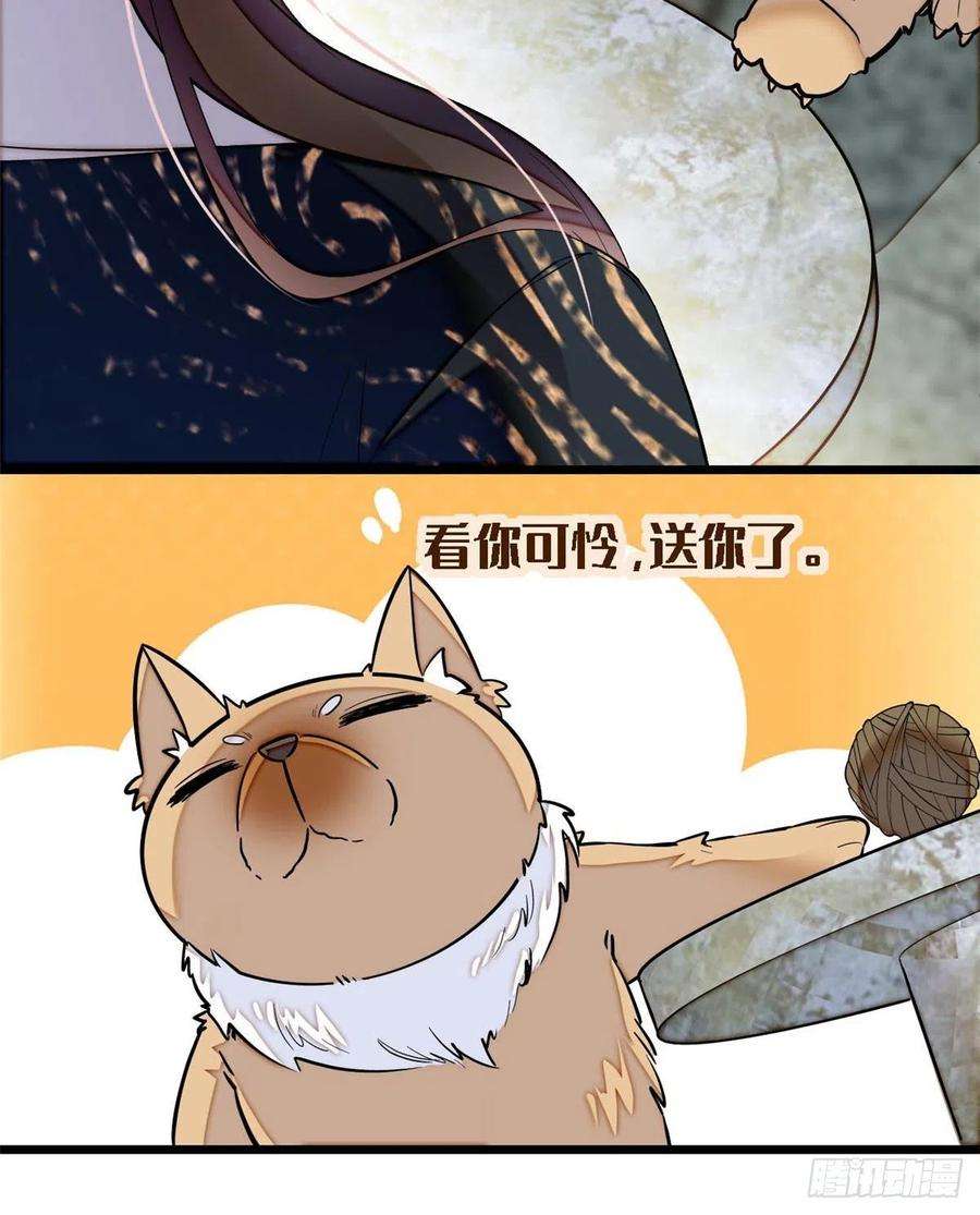 似锦85话 七皇子的状