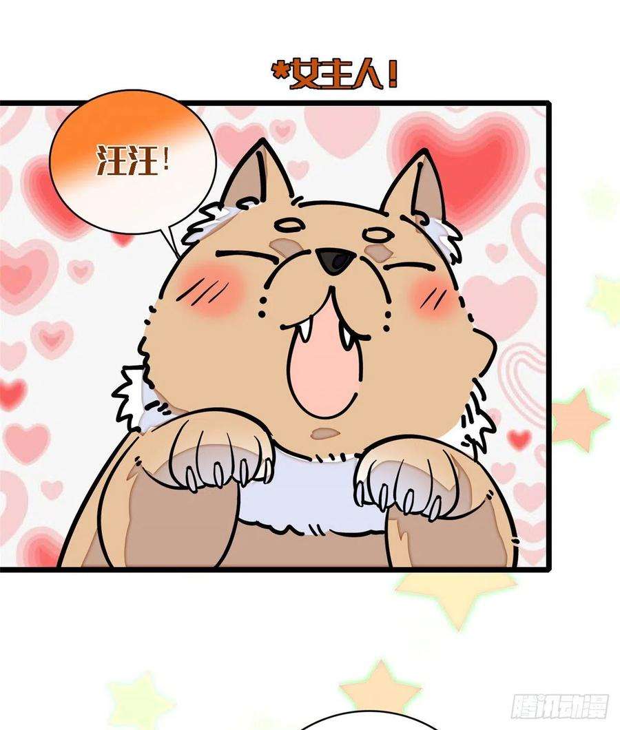 似锦88话 二表哥的惨剧