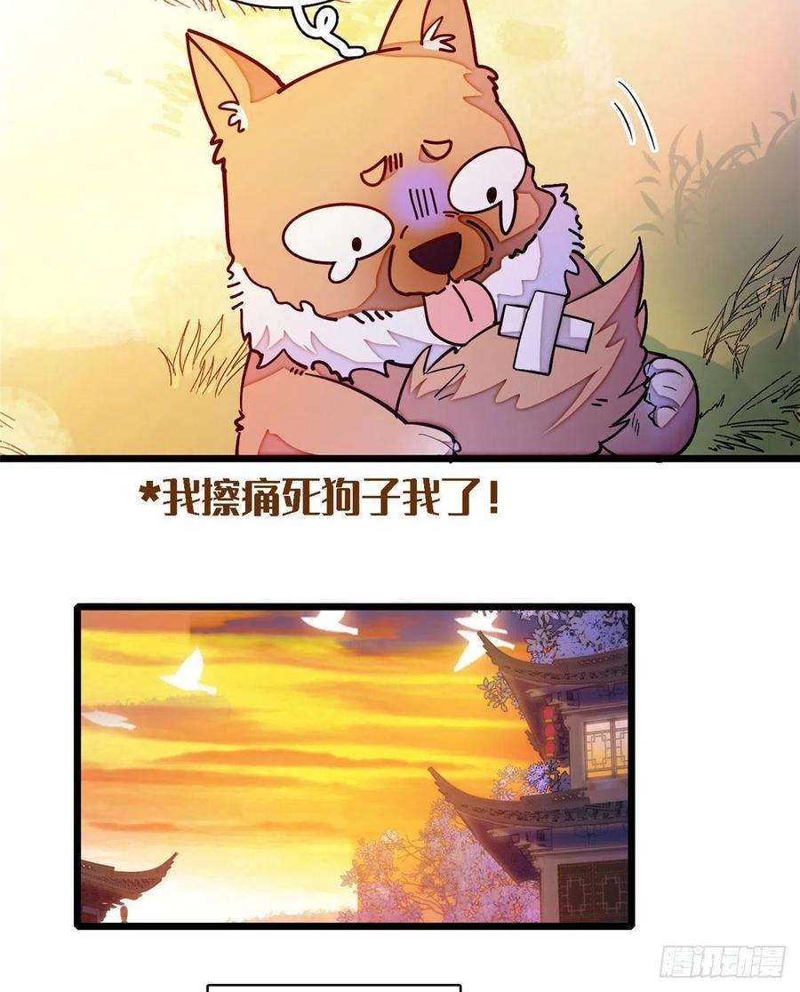 似锦95话 岳父好感加300