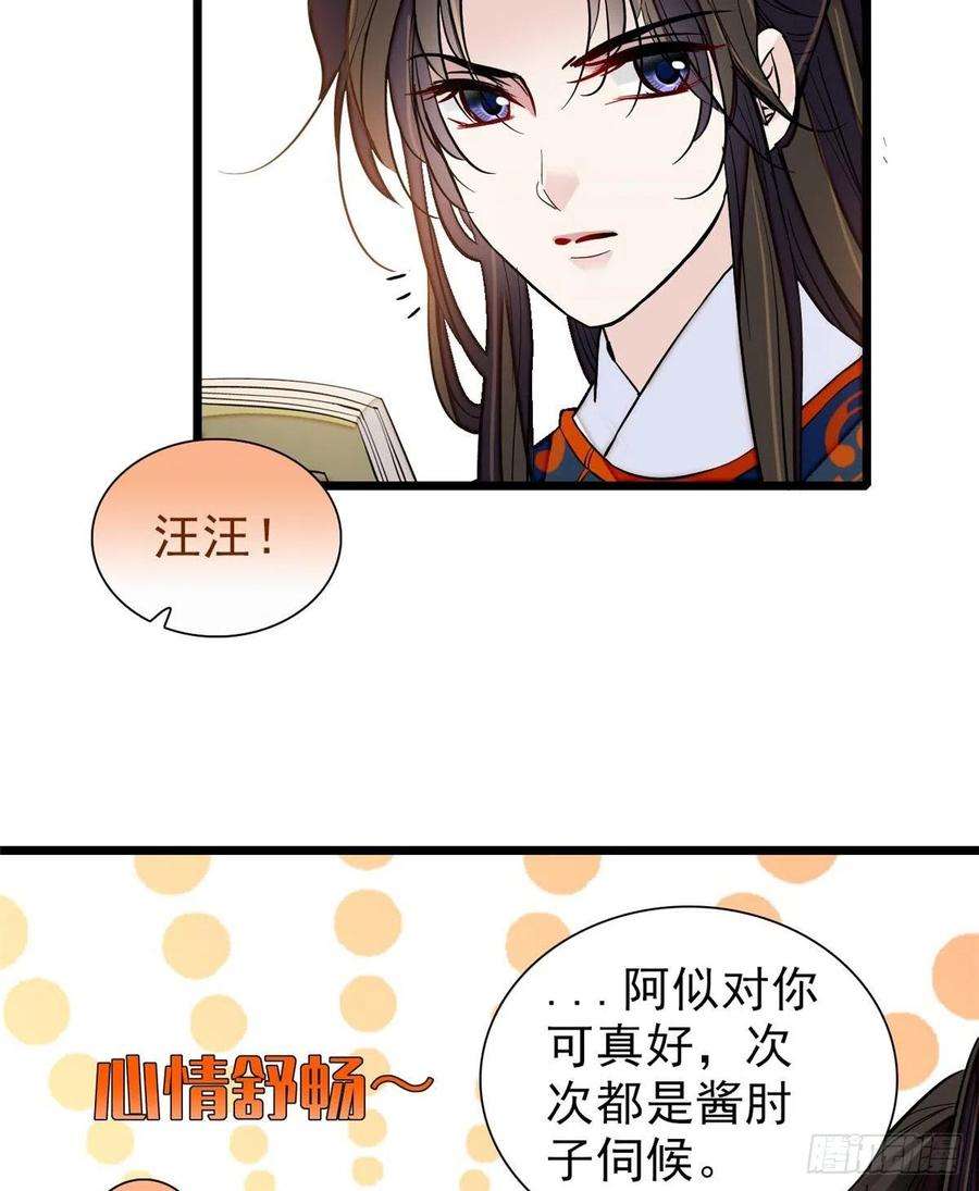似锦105话 用我的命，换你的命