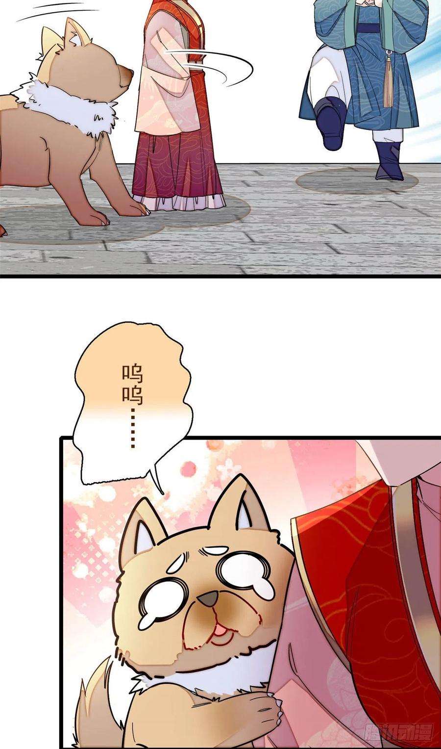似锦140话 乖乖躺着，让我来