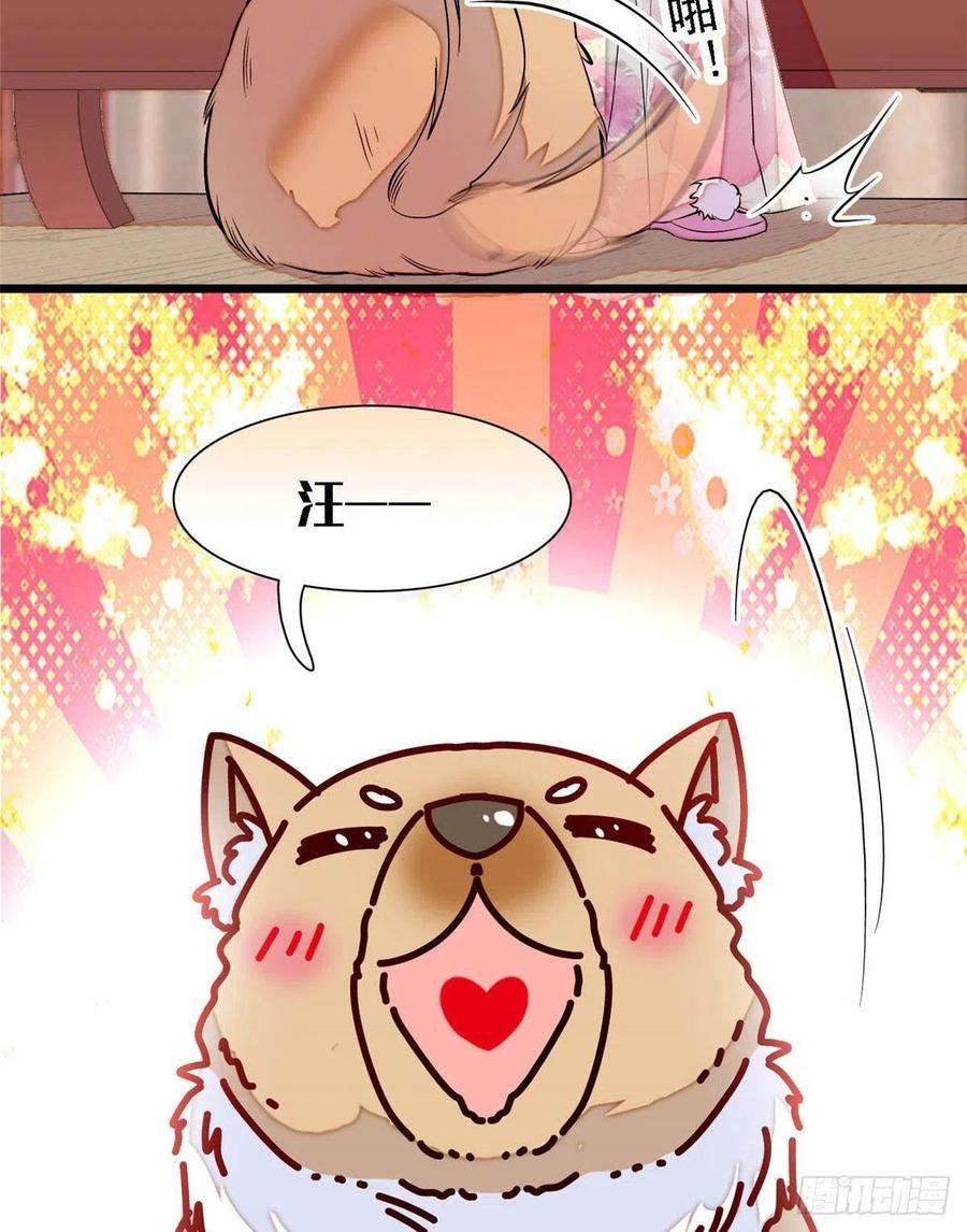 似锦165话 坐享齐人之福？
