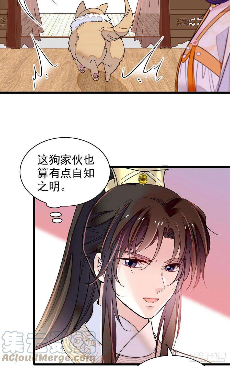 似锦165话 坐享齐人之福？