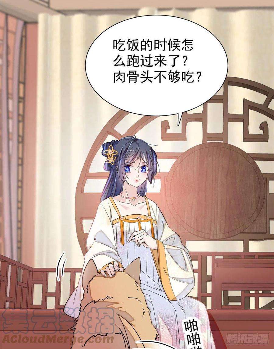似锦165话 坐享齐人之福？