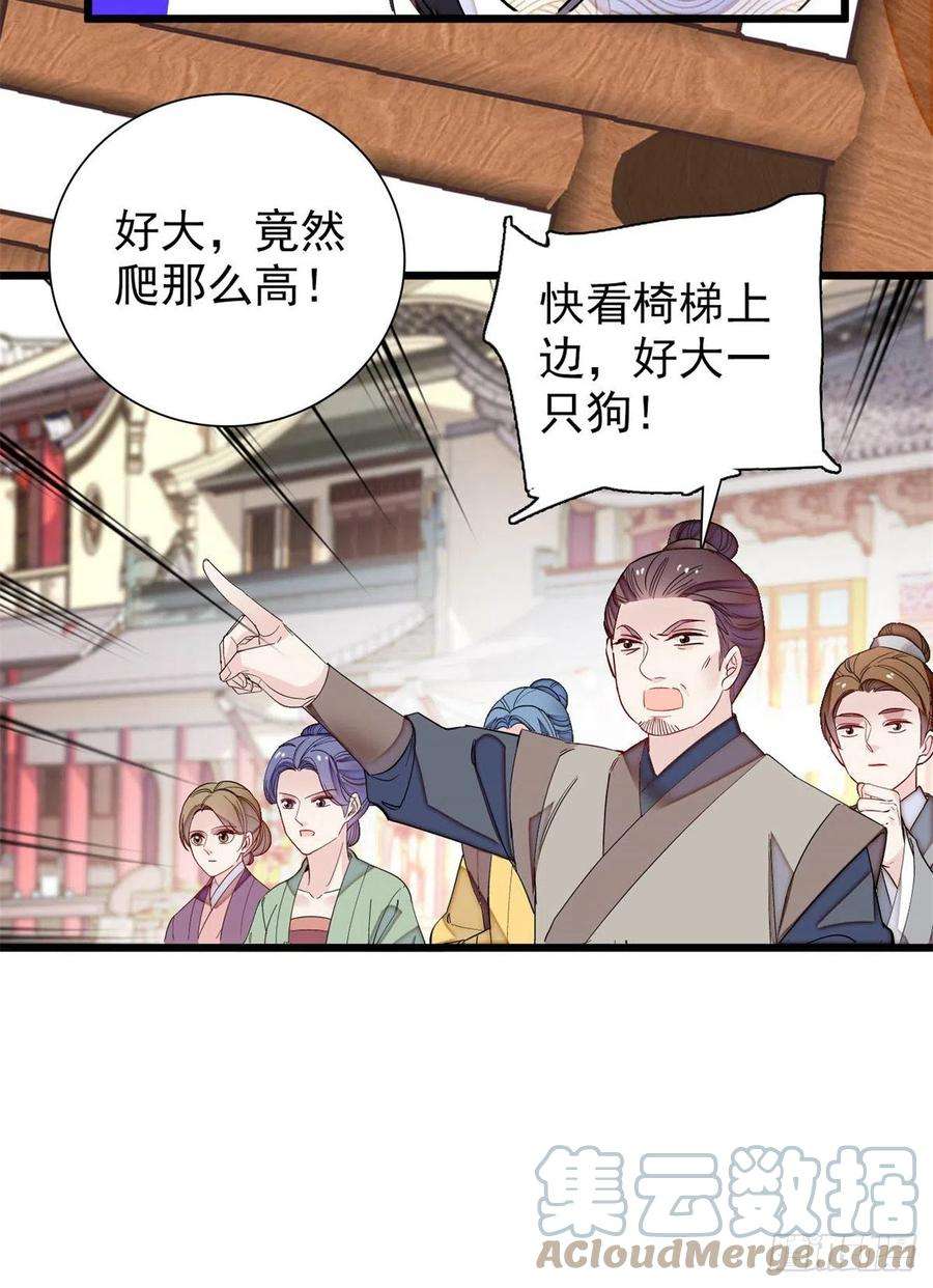 似锦194话 诱饵