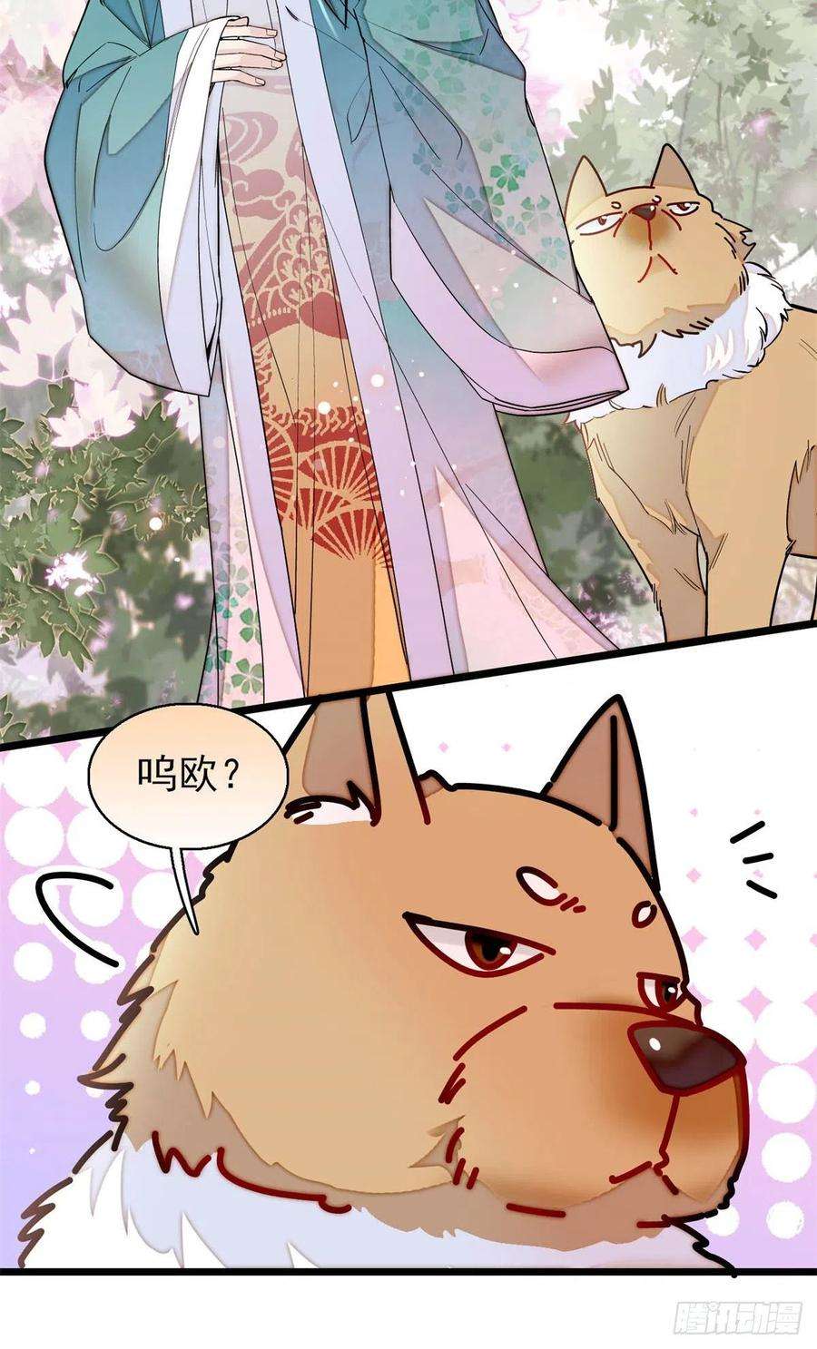 似锦214话 阿瑾一定要平安话来