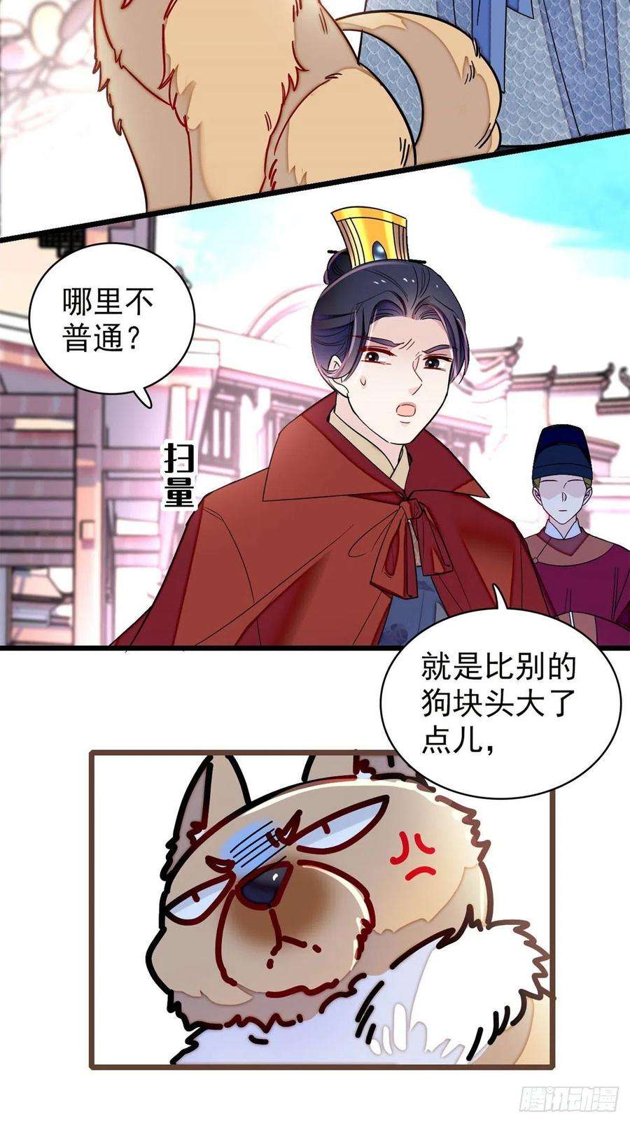 似锦215话 钱河县救灾
