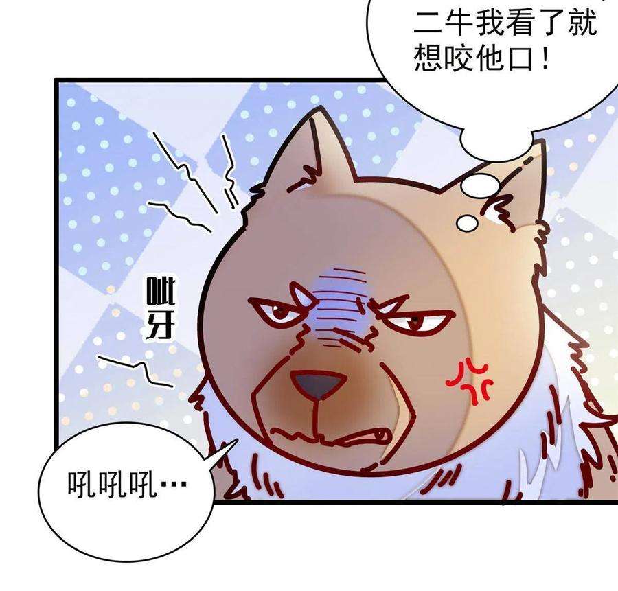似锦227话 最强搜救犬二牛